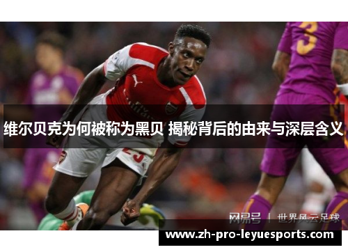 维尔贝克为何被称为黑贝 揭秘背后的由来与深层含义