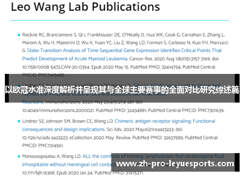 以欧冠水准深度解析并呈现其与全球主要赛事的全面对比研究综述篇
