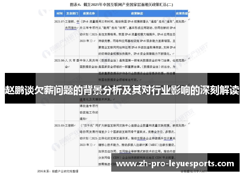 赵鹏谈欠薪问题的背景分析及其对行业影响的深刻解读